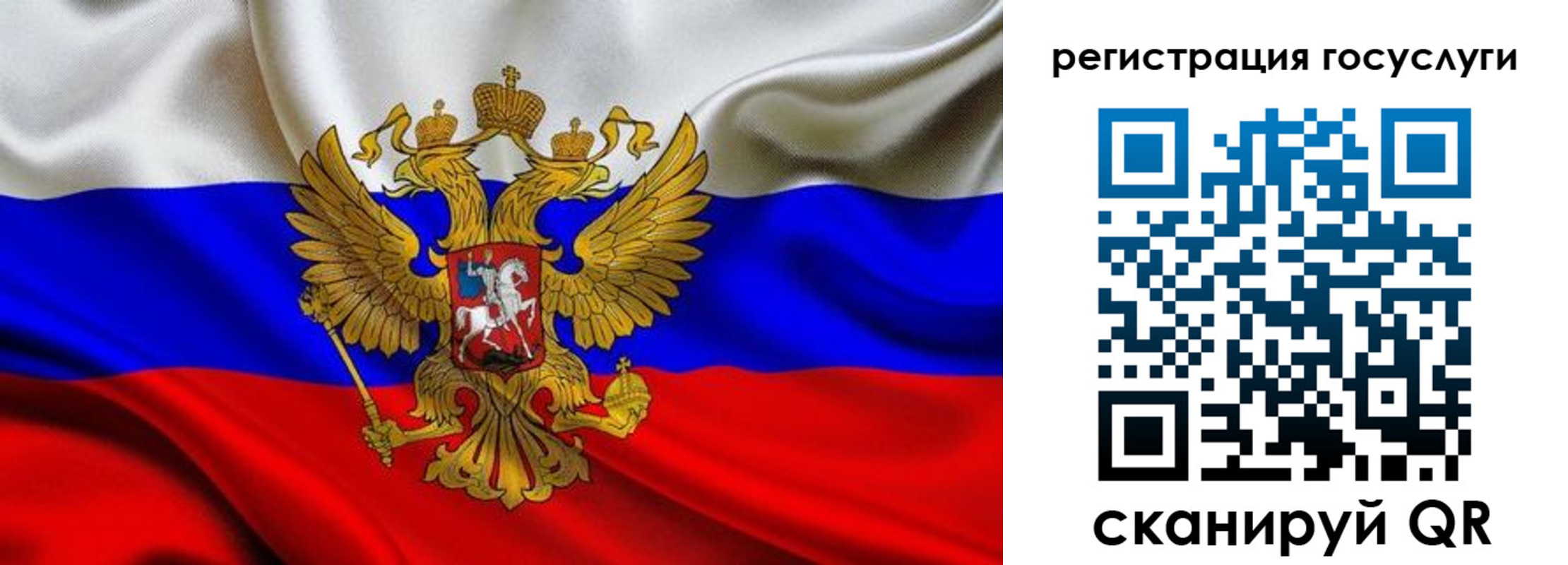 прописка гарантия в Емве